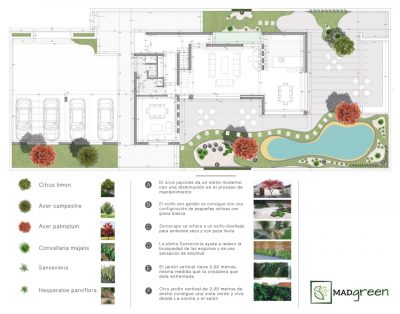 PLANTA 00016-19_page-0001 (1)